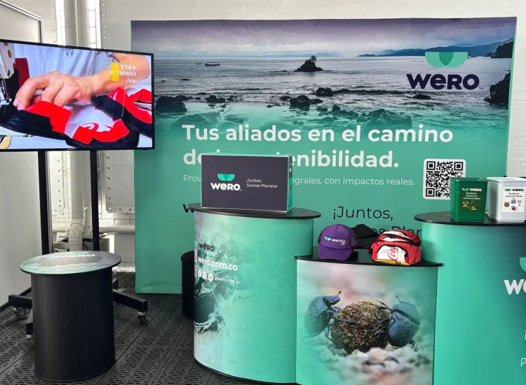 Alquiler de Pantalla - Monitor Industrial (11) - App Zone Web